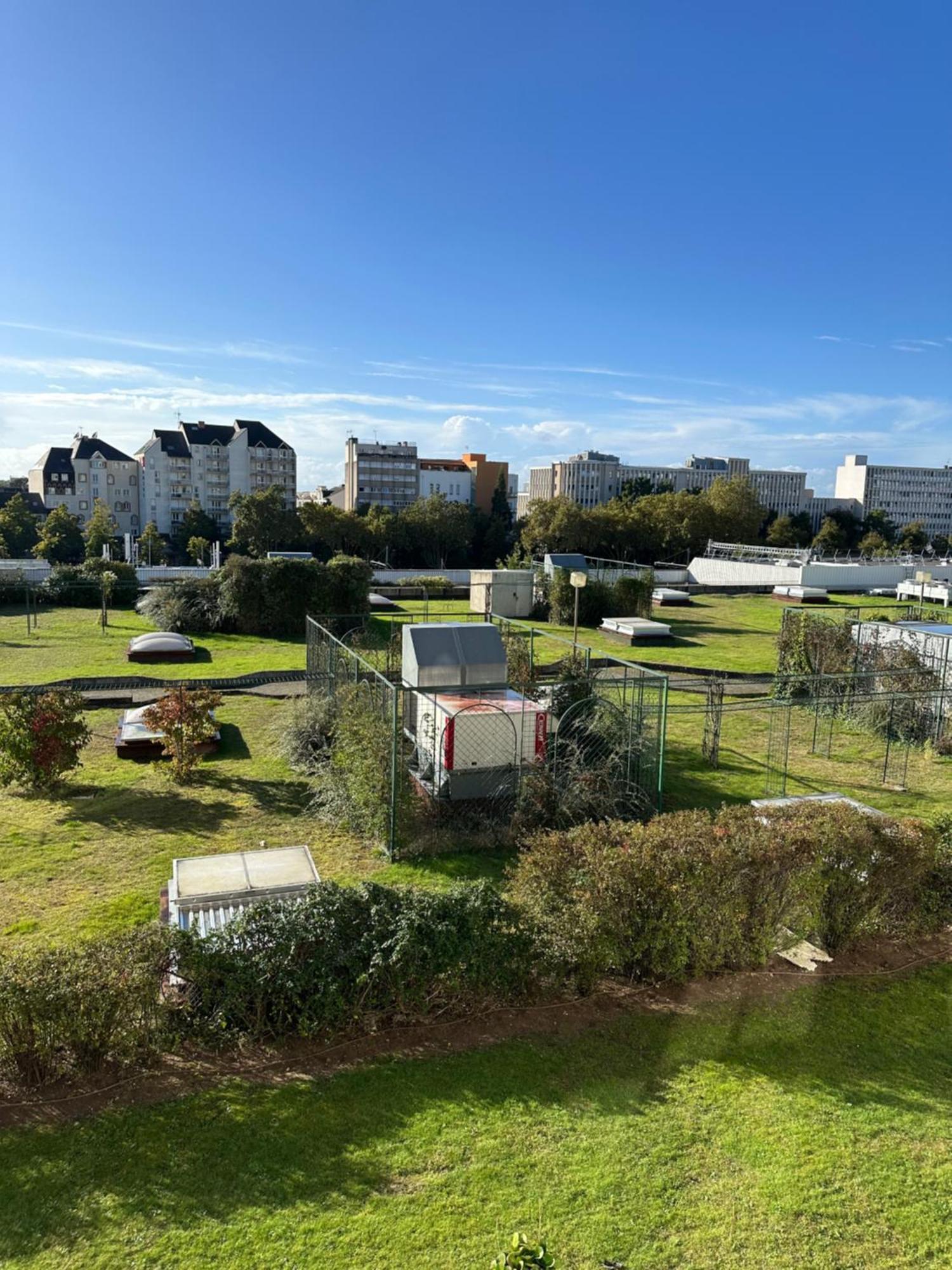 Apartament Superbe F3 Au Calme Hyper Centre Orlean Zewnętrze zdjęcie
